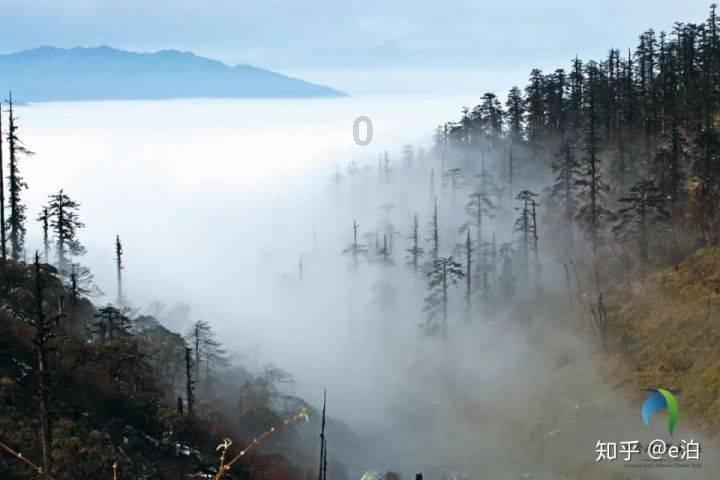 盘点一波:超声炮和超声刀的区别,超声刀和超声炮的区别!