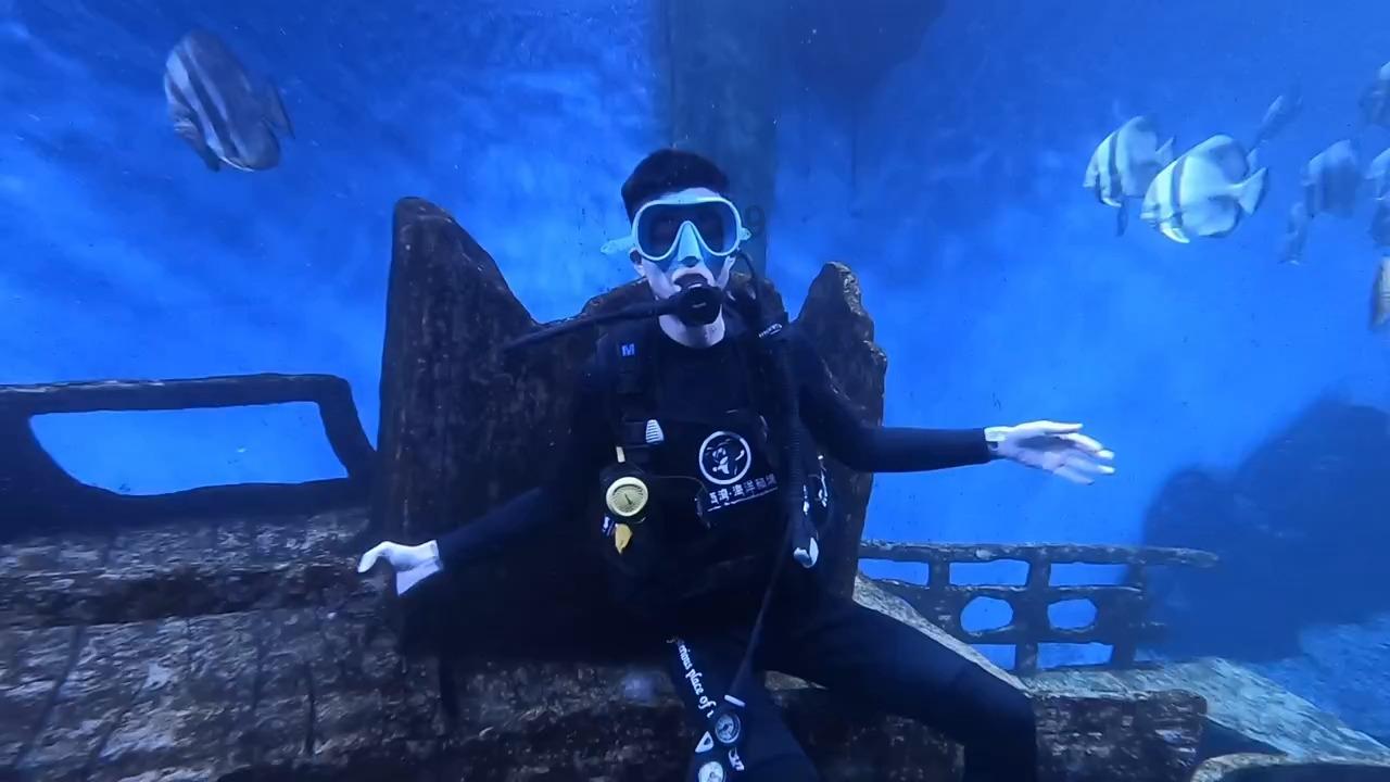 盘状永磁直流电动机
