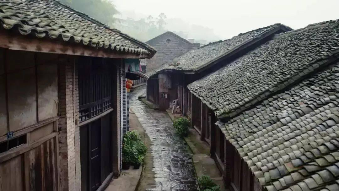 成都高考全科补习班:高三生物学霸绝招,2个月涨30+